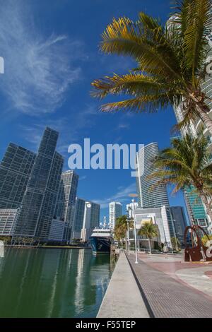 Centre-ville de Miami river paysage urbain le long de la zone de Brickell. Prise de vue au grand angle avec des palmiers, des gratte-ciel et ciel bleu Banque D'Images