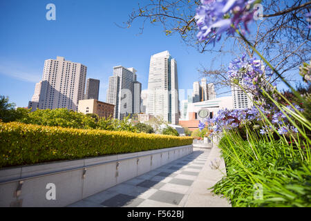 Des fleurs dans les Jardins de Yerba Buena Park, San Francisco Banque D'Images