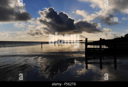 Worthing, Sussex, UK. 28 octobre 2015. Les promeneurs de chiens profiter du beau temps sur Worthing Beach cet après-midi, un mélange de soleil et de nuages sombres comme l'automne inhabituellement chaud les températures continuent tout au long de la Grande-Bretagne Crédit : Simon Dack/Alamy Live News Banque D'Images