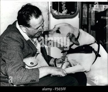 1968 - Blind appâts Empoisonneur Han Sde Eye Dog : Len Hallett un travailleur charité aveugle et sa belle Indi golden labrador, ont été leurs déplacements de patch en Australie à Adélaïde Market St. Un empoisonneur a chuté d'un morceau de viande des doses de poison à rat sur son tapis. Len dit qu'il n'a pas savoir quelque chose n'allait pas jusqu'à ce que quelqu'un a crié ''Hé, votre chien est frothng à l'embouchure. A été transporté d'Indi le vétérinaire où il a trouvé un morceau de la viande encore dans sa gorge. Tiré à travers indi et est maintenant manger et aller au travail avec Len. Len accuse l 'empoisonnement sur "quelqu'un avec un esprit tordu'' et il a été Indi toget Banque D'Images