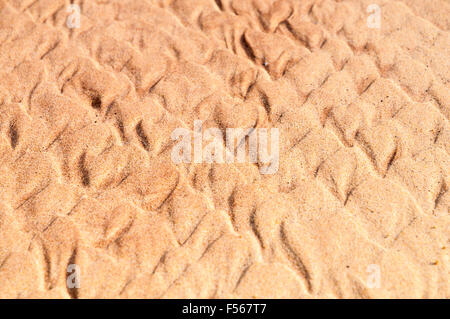 Des modèles dans le sable créé par la marée descendante. Banque D'Images