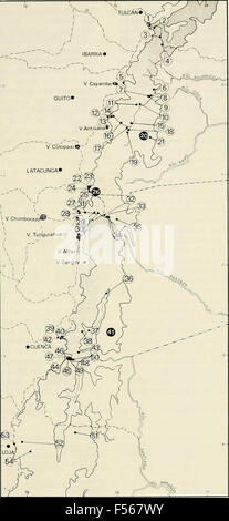 L'Eleutherodactylus des pentes de l'Amazonie Andes équatoriennes (Anura : amphibien) Banque D'Images