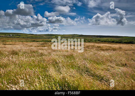 Bostraze Bog Penwith, Cornwall, UK Banque D'Images