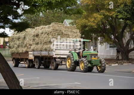 Tracteurs agricoles et remorques de paille en passant par la petite ville de Riebeeck West dans la région de l'Afrique du Sud, Orothamnus zeyheri Banque D'Images