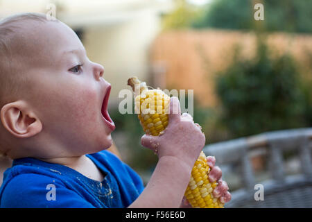 Aspen, Colorado - Adam Hjermstad Jr., 15 mois, apprend à manger des épis de maïs. Banque D'Images