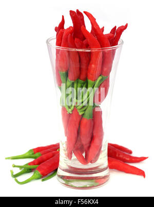 Piment rouge dans un verre transparent Banque D'Images