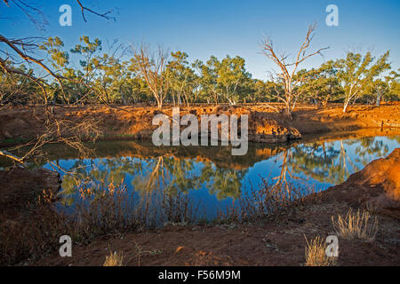 De superbes paysages de l'outback avec ciel bleu et de la forêt d'arbres se reflétant dans l'eau de surface miroir entouré par des rochers rouge robuste Banque D'Images