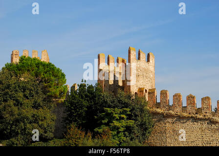 Este est une commune italienne de la Province de Padoue, dans la région de Vénétie en Italie du nord. Les murs de la Carrare château, il construit autour de 1339 sur les cendres du château Estense. Les murs forment un polygone entouré de tours à intervalles réguliers. Aujourd'hui l'intérieur du château est utilisé comme un jardin. Banque D'Images