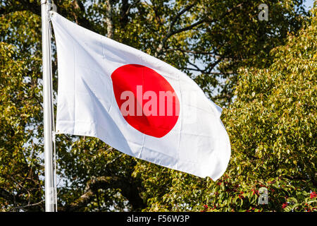 Drapeau japonais, 'Rising Sun', voletant dans le vent et la lumière du soleil à l'arrière-plan de branches d'arbres et feuilles vertes Banque D'Images