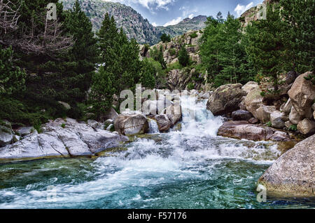 Belle rivière dans les Pyrénées avec cristal de l'eau claire. Banque D'Images