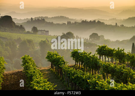 Paysage dans l'aube près de San Gimignano, Toscane, Italie, Europe. Banque D'Images