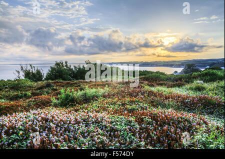 Hendaye (Basque : Hendaia) est le plus au sud-ouest ville et commune de France Banque D'Images