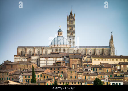 Cathédrale de la vieille ville de Sienne, Italie, Europe Banque D'Images