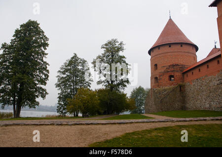 Détail de Château de Trakai (Lituanie) Banque D'Images