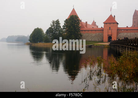 Détail de Château de Trakai (Lituanie) Banque D'Images