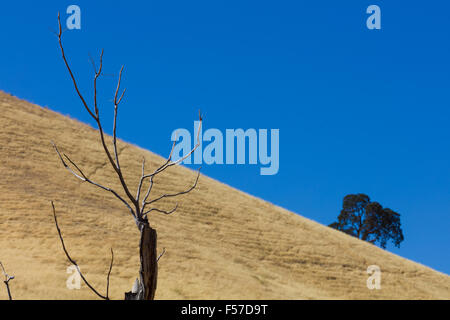 Black Diamond Mines Regional Preserve. Banque D'Images