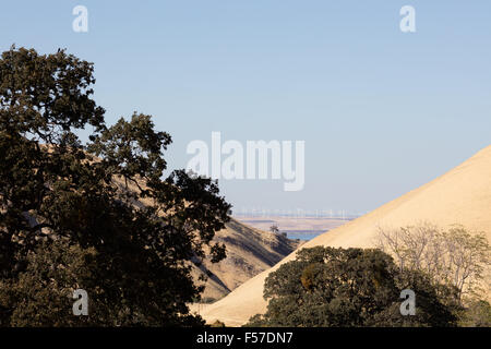 Black Diamond Mines Regional Preserve. Banque D'Images