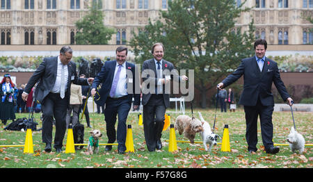 Londres, Royaume-Uni. 29 octobre, 2015. L-R : David Warburton MP avec les chiens un chien de sauvetage confiance appelé Burlington, un terrier de 1 ans, Chris Matheson MP avec les chiens un chien de sauvetage confiance appelé Casper, un Yorkshire Terrier, Hugo Swire MP avec Rocco et Alec Shelbrooke Cockapoo MP avec ses chiens, Boris et Maggie. Les membres du Parlement et leurs chiens pawed pour une victoire dans le rapport annuel de l'année chien Westminster concours organisé par des chiens de confiance et le Kennel Club. Crédit : Images éclatantes/Alamy Live News Banque D'Images