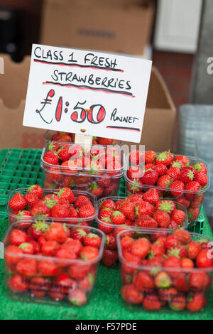 Royaume-uni, Leeds, strawberres en vente sur un étal du marché marché à Leeds. Banque D'Images