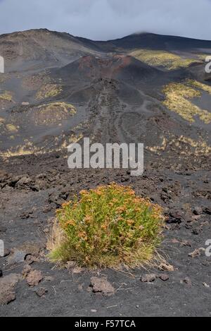 La Montagnola cratère latéral, l'Etna, en Sicile, Italie Banque D'Images