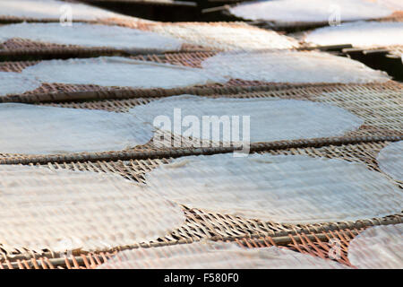 Nouilles de riz de l'Hoai Sau usine , Can Tho, Delta du Mékong, le papier de riz crêpes crêpes séchant au soleil, Vietnam Banque D'Images