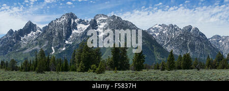 Montagnes du Grand Teton, glacier meadow Banque D'Images