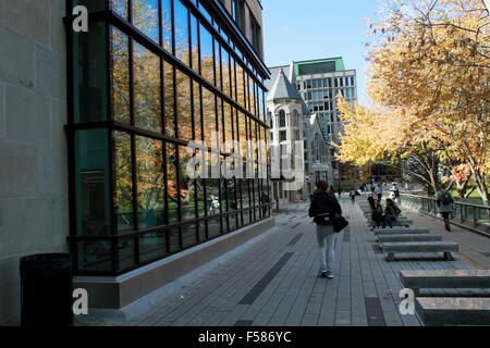 La bibliothèque de l'Université McGIll à Montréal, Québec Banque D'Images