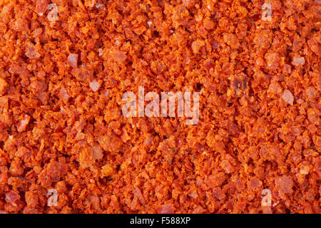 Macro image de poudre de piment rouge de Corée Banque D'Images