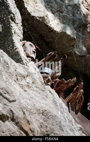 Tao Tao Torajan effigies en bois tendre la main, Toraja de Sulawesi, Indonésie Banque D'Images