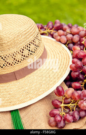 Articles pour picking grapes en été. Banque D'Images