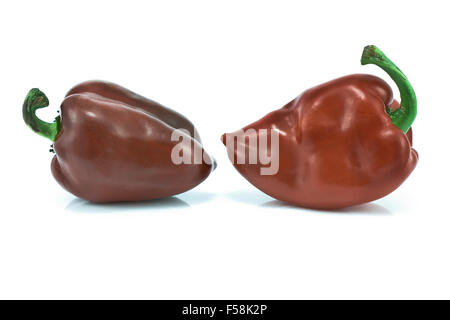 Deux poivrons rouges doux isolated on white Banque D'Images