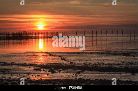 Coucher de soleil sur le Stakenets Solway Banque D'Images