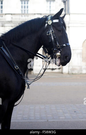 Calvaire à ménage Horseguards Parade Londres Angleterre Banque D'Images