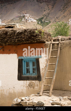 L'Inde, l'Himachal Pradesh, le Spiti Valley, Khurik village, l'échelle à la télévision toit de maison empilé avec des broussailles de protection Banque D'Images