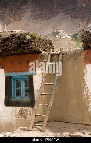 L'Inde, l'Himachal Pradesh, le Spiti Valley, Khurik village, l'échelle à la télévision toit de maison empilé avec des broussailles de protection Banque D'Images