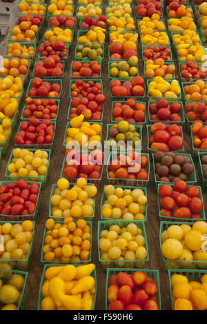 D'une récolte exceptionnelle de divers types de petites tomates à vendre à un marché de producteurs à Brooklyn, New York. Banque D'Images