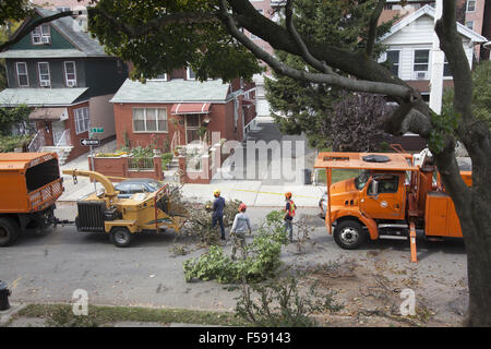 Le retrait d'arbres NYC crew couper un arbre en danger s'éteindre pendant une tempête. Brooklyn, New York. Banque D'Images