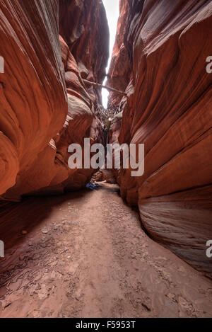 Inondations dans les débris en suspension sous la gorge de daim canyon dans le sud de l'Utah. Banque D'Images