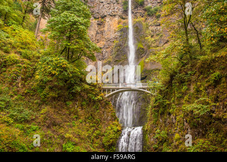De belles chutes de Multnomah sur l'autoroute I-84 à l'automne. De l'Oregon, USA Banque D'Images