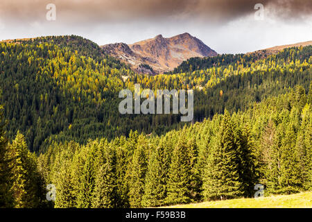 Lumière du soleil sur le pic de Cima Bocche et forêt de conifères près de Passo Valles. Trentin. Alpes italiennes. Europe. Banque D'Images