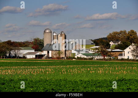 Le Comté de Lancaster en Pennsylvanie : Amish farm complexe avec la ferme, granges, silos et Banque D'Images