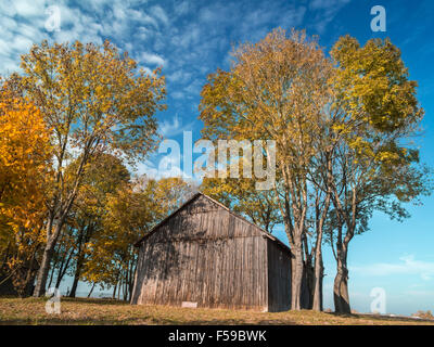 Ancienne grange en bois entourée d'arbres en couleurs d'automne Banque D'Images