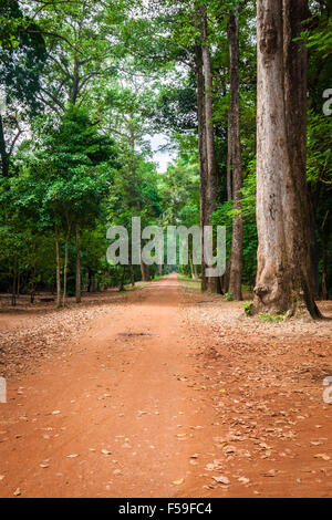 Chemin de terre à travers la forêt tropicale dense au Cambodge Banque D'Images