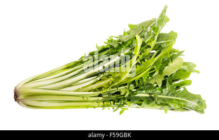 Salade de pissenlit ware, Italien Italie vert vert Alimentation saine Santé adapter la forme physique peu calorique, cuisine élégante, de préparation, de nouveau, Banque D'Images