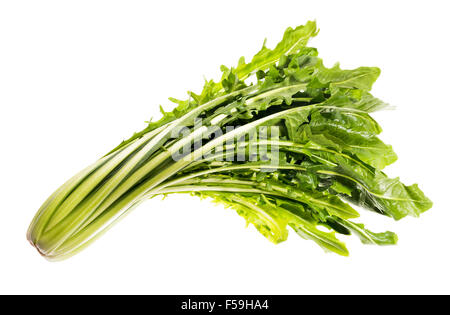 Salade de pissenlit ware, Italien Italie vert vert Alimentation saine Santé adapter la forme physique peu calorique, cuisine élégante, de préparation, de nouveau, Banque D'Images