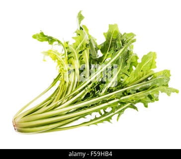 Salade de pissenlit ware, Italien Italie vert vert Alimentation saine Santé adapter la forme physique peu calorique, cuisine élégante, de préparation, de nouveau, Banque D'Images