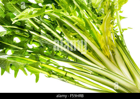 Salade de pissenlit ware, Italien Italie vert vert Alimentation saine Santé adapter la forme physique peu calorique, cuisine élégante, de préparation, de nouveau, Banque D'Images