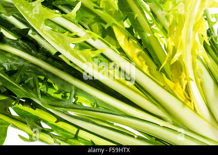 Salade de pissenlit ware, Italien Italie vert vert Alimentation saine Santé adapter la forme physique peu calorique, cuisine élégante, de préparation, de nouveau, Banque D'Images