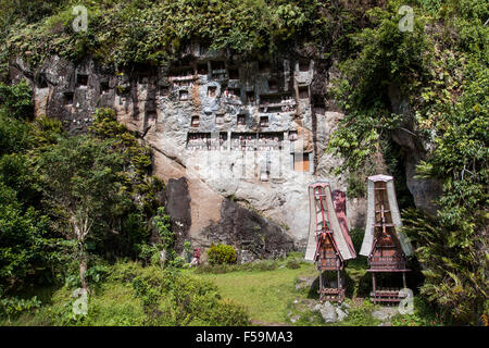 Tao Tao ornant une falaise au Village Lemo Tana Toraja de Sulawesi, Indonésie. Banque D'Images