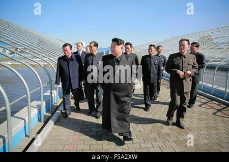 Pyongyang. 31 octobre, 2015. Photo fournie par Korean Central News Agency (KCNA) Le 31 octobre 2015 montre top chef de la République populaire démocratique de Corée (RPDC) Kim Jong Un (avant) de donner des conseils sur le terrain à la barbue de Pyongyang, RPDC Pyongyang à la ferme. Credit : KCNA/Xinhua/Alamy Live News Banque D'Images